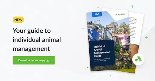 banner reading 'guide to individual animal management'
