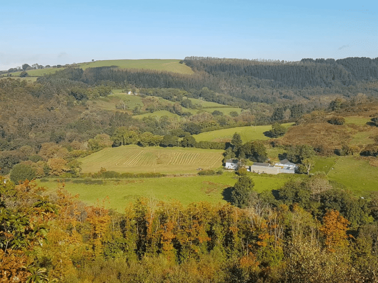 farm in wooded valley