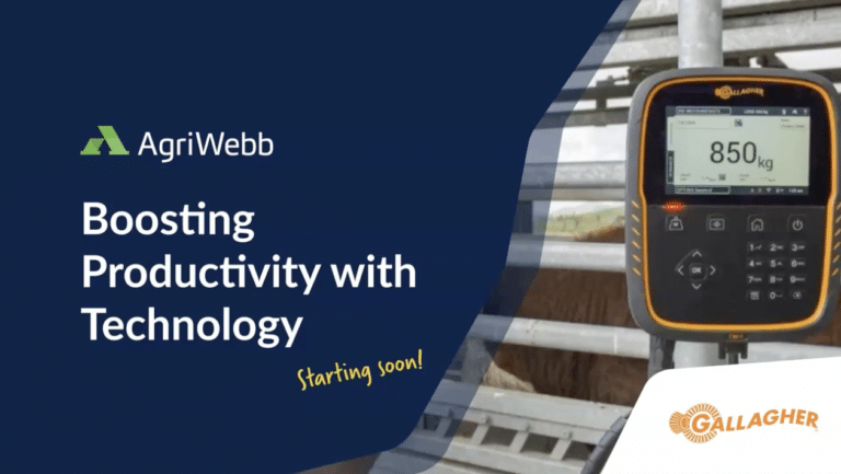 boost productivitiy with technology