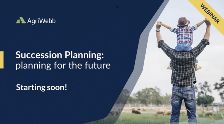 banner for 'succession planning'