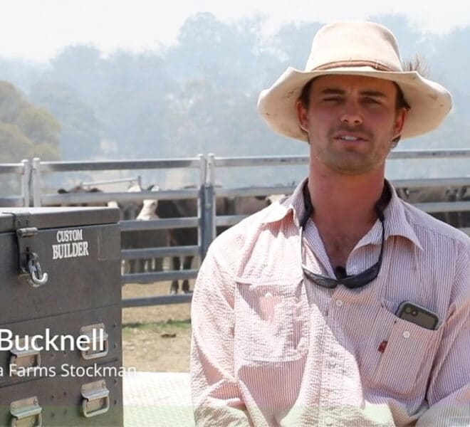 tom bucknell