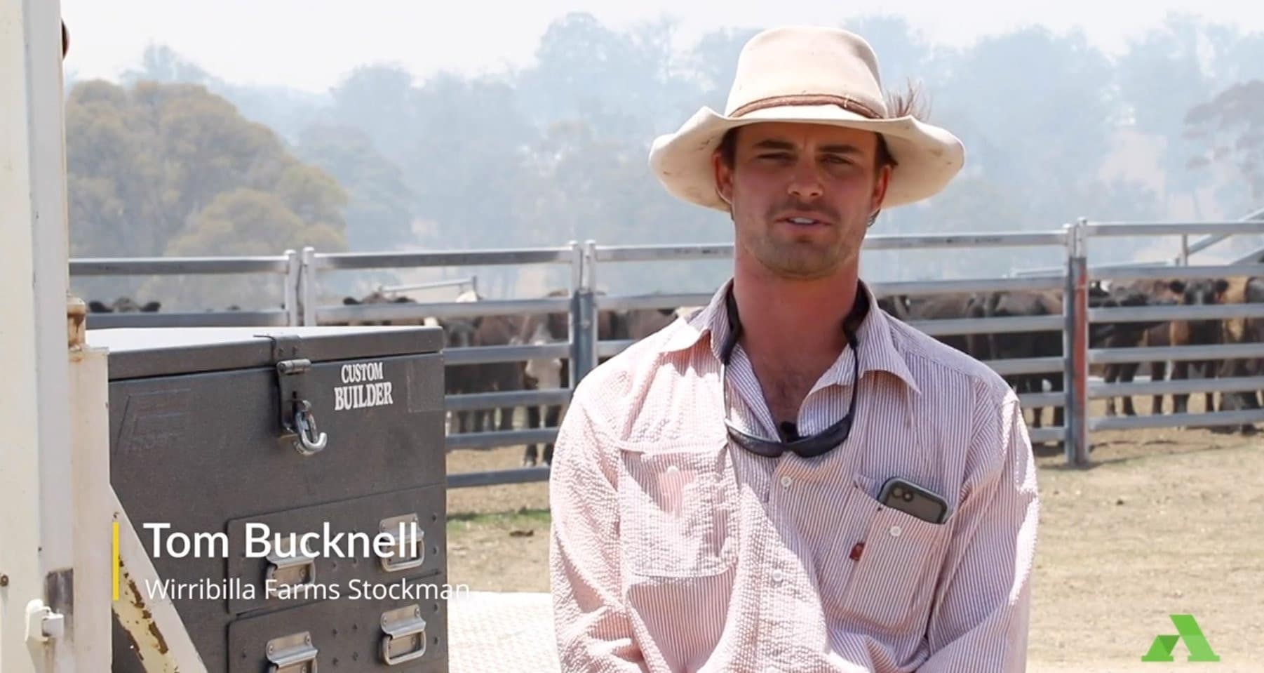 tom bucknell