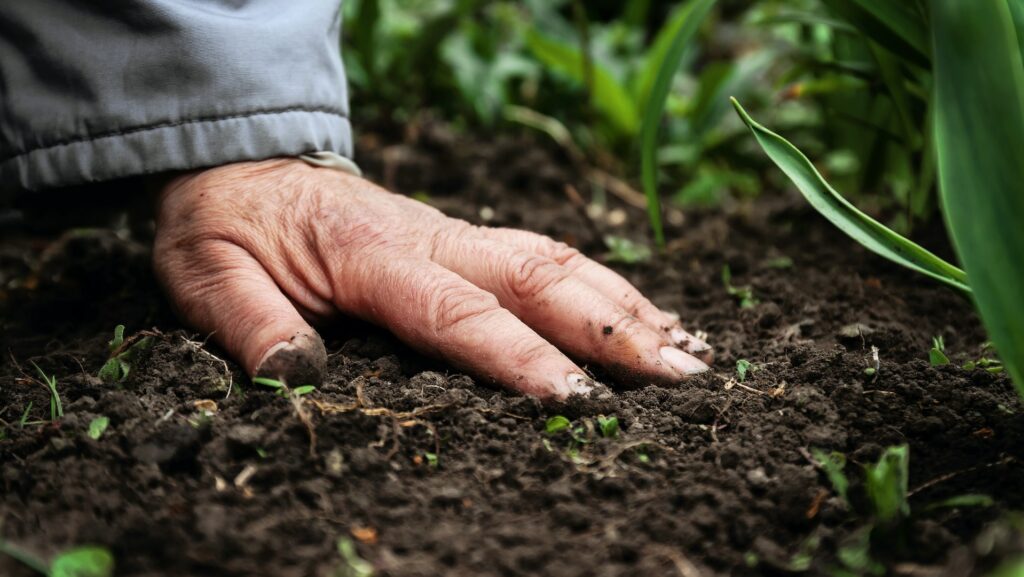hand touching soil