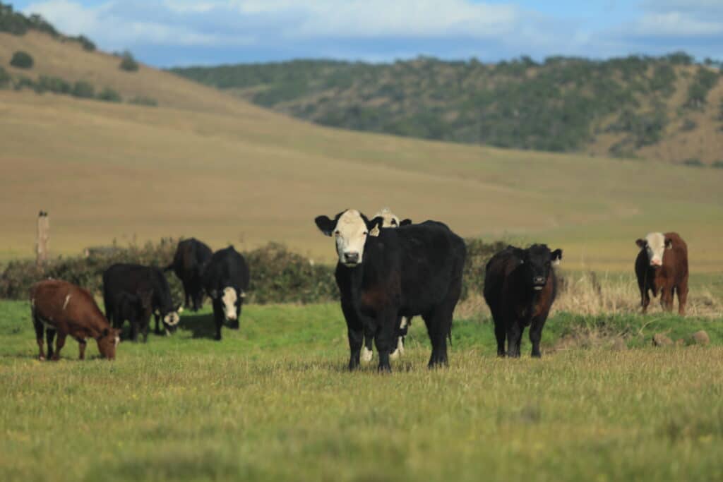 AgriWebb - Land Stewardship
