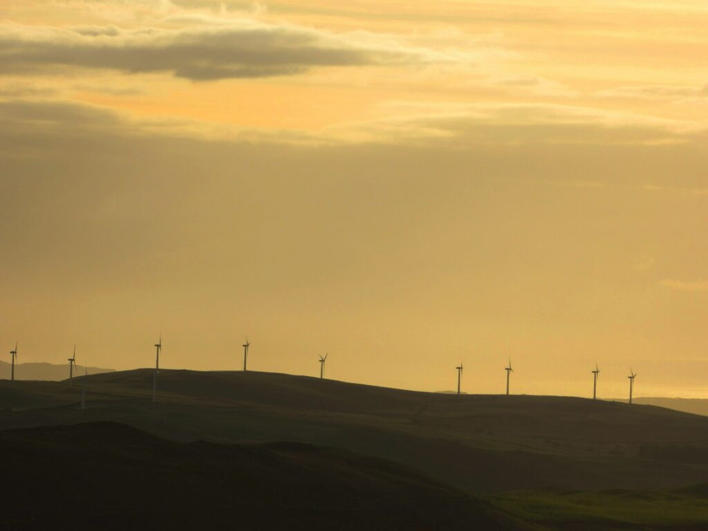 Can food production and the environment go hand-in-hand?