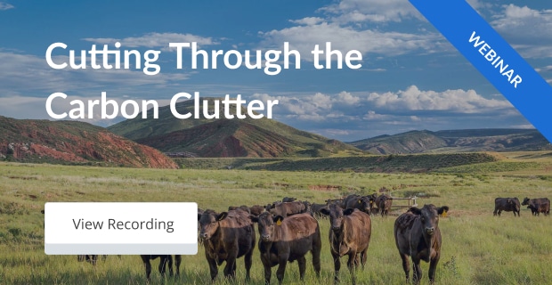banner reading: Cutting Through the Carbon Clutter