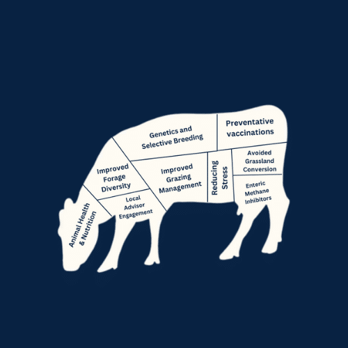image with cow outline